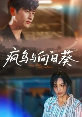 疯鸟与向日葵