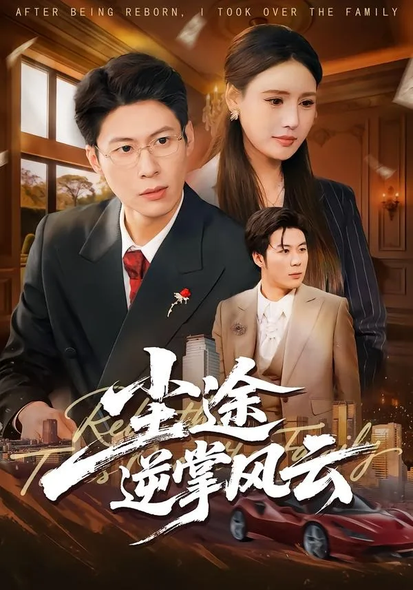 尘途逆掌风云