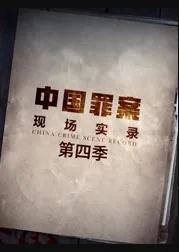 罪案现场实录第四季