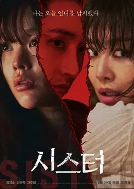姐妹2026